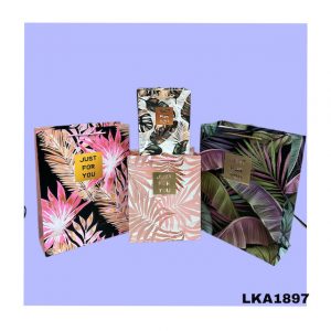 BOLSA DE REGALOS HELECHO PEQUEÑA