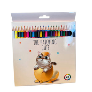 LAPICES DE COLORES GATO2 24