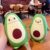 BOTELLA PALTA