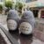 BOTELLA TOTORO