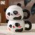 TAZON PANDA