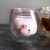 VASO VIDRIO CERDITO