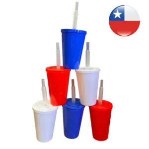 VASO CHILE (DOCENA)
